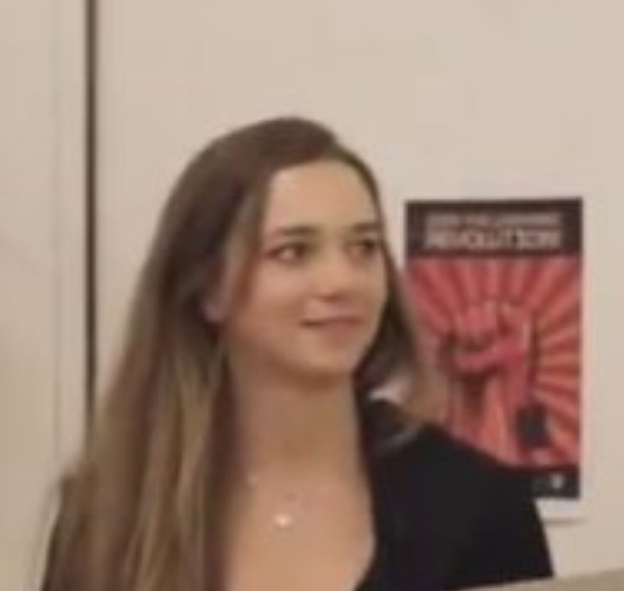 disgarmonija i šum tweet media