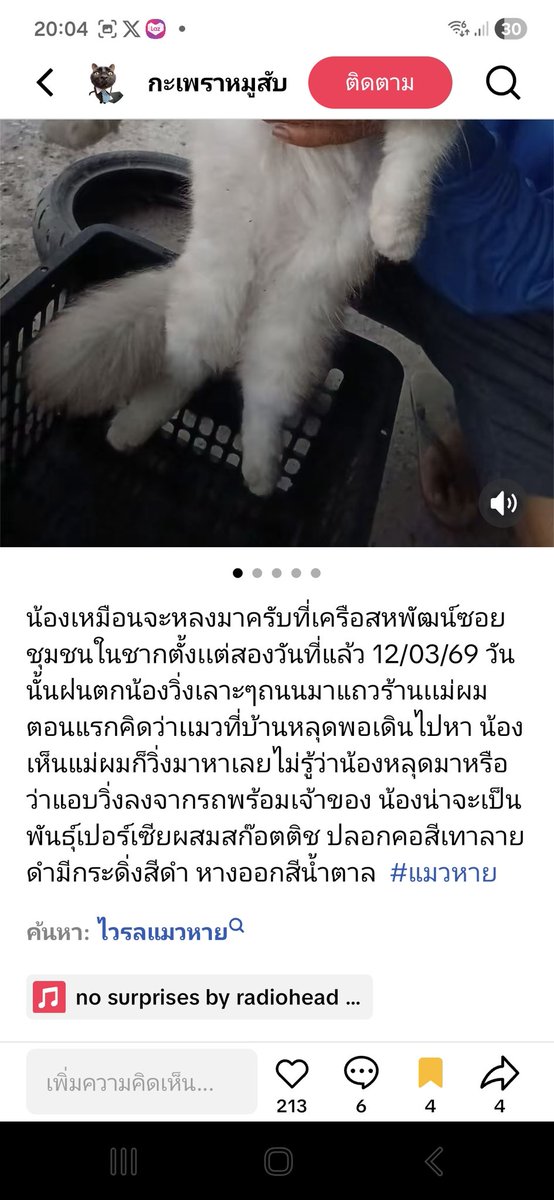 jim ㅇㅈㅇ tweet media