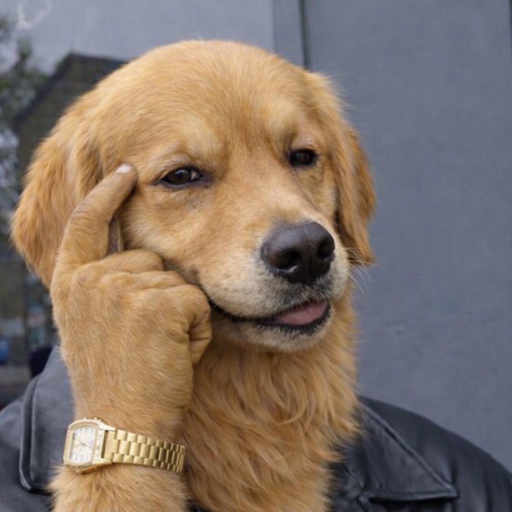 Dryersheetz tweet media