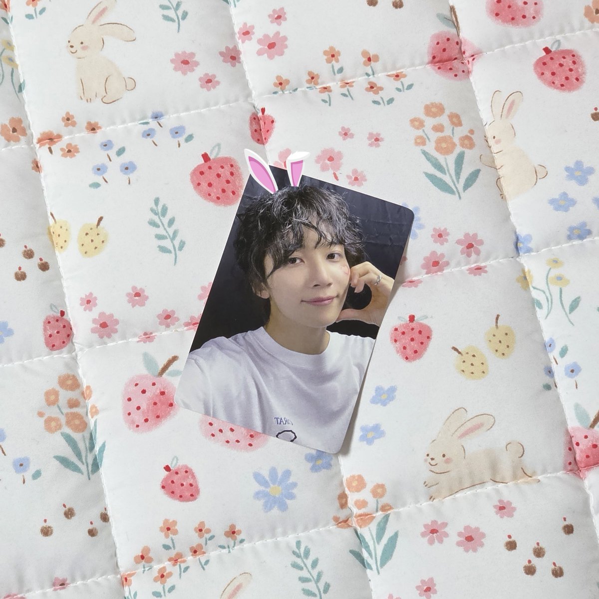 #rt이벤트

하니 전역 D-100 기념 fml 이즈위 뽀삐포카 나눔🎀

* 포카 +@
* 한국주소, 반택만 가능! (배송비x)