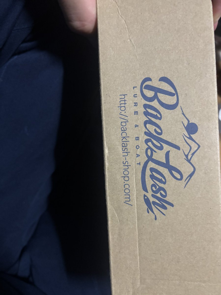 マンダリン tweet media