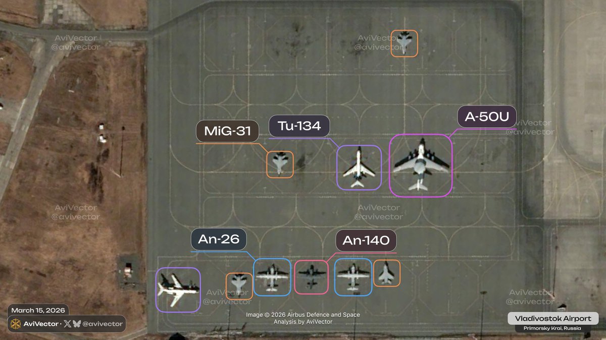 AviVector tweet media