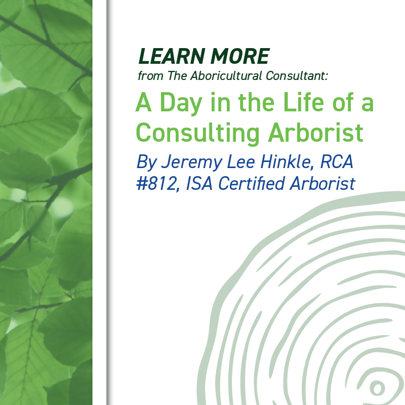 Consulting Arborists tweet media