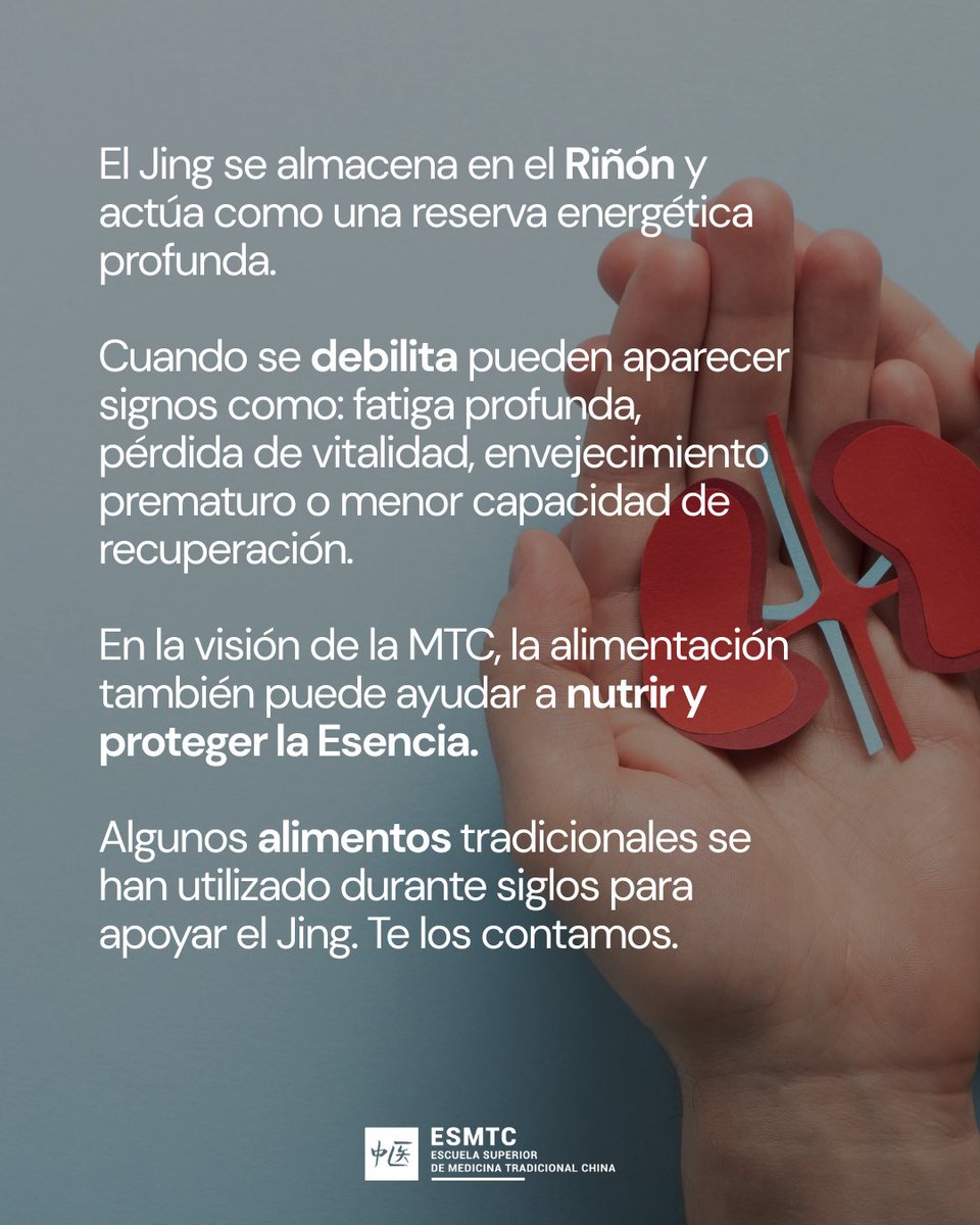 Escuela de MTC tweet media