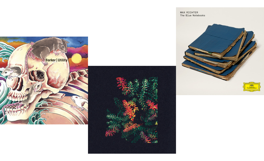 David Porter tweet media