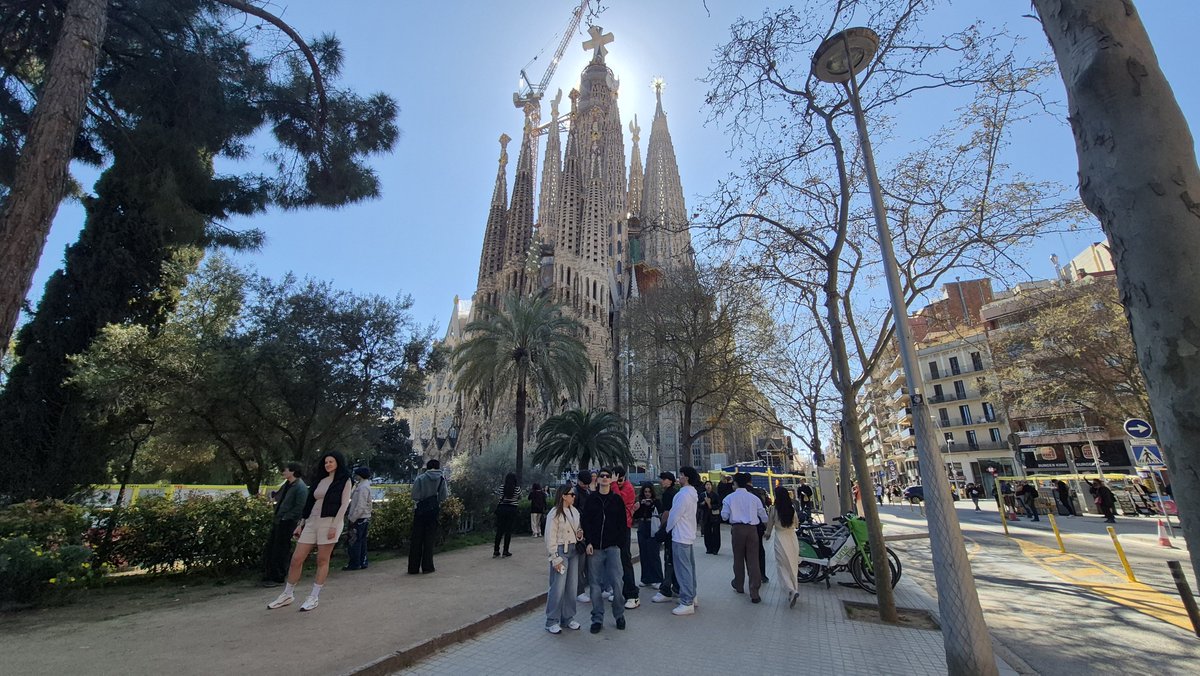 Lee at NFTV tweet media