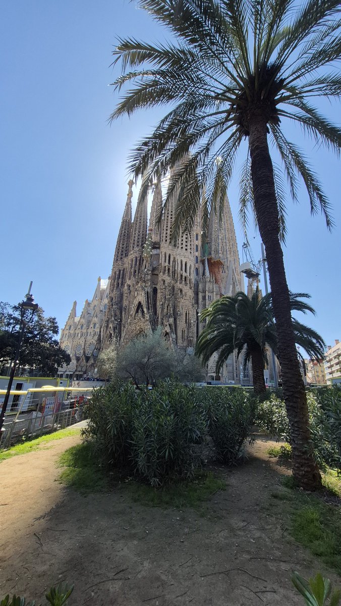 Lee at NFTV tweet media