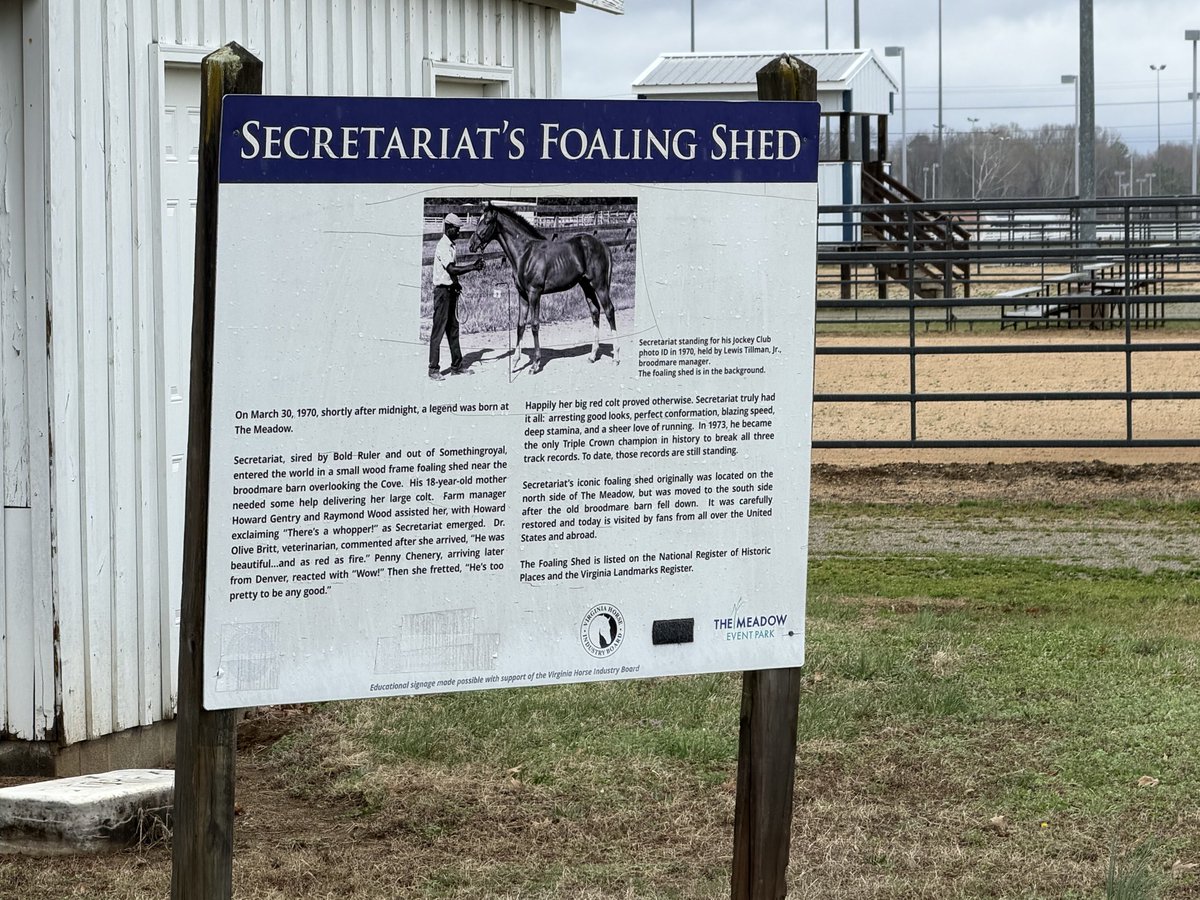 Kaylie Shapiro tweet media