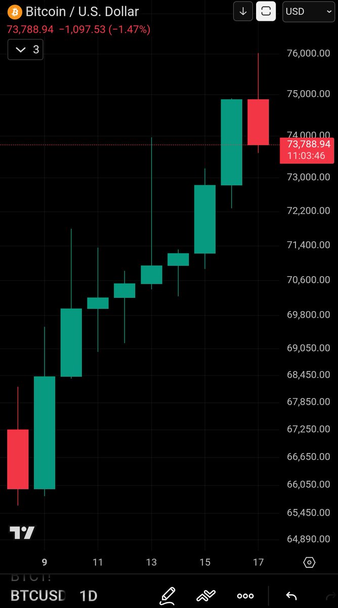 BitBagger tweet media