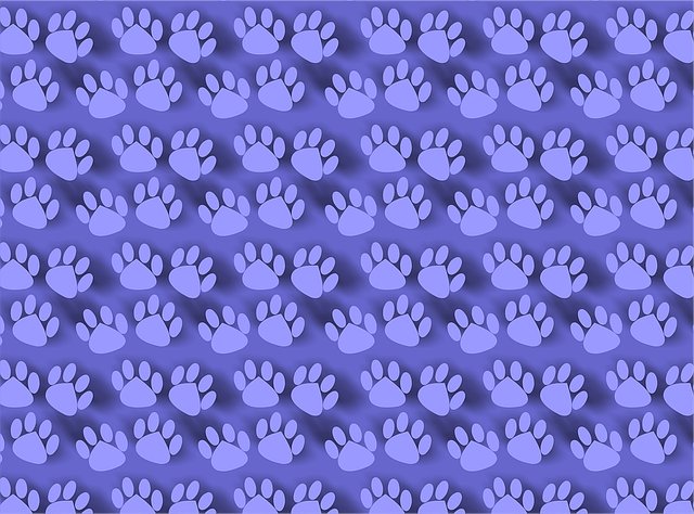 Cardell Tucker tweet media