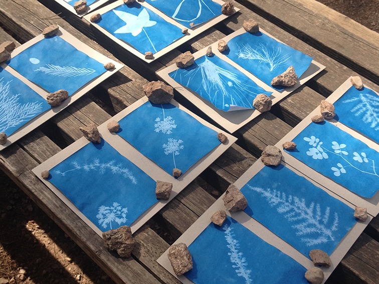 intermediae tweet media