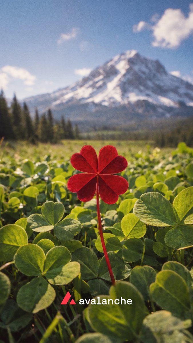 Avalanche🔺 tweet media