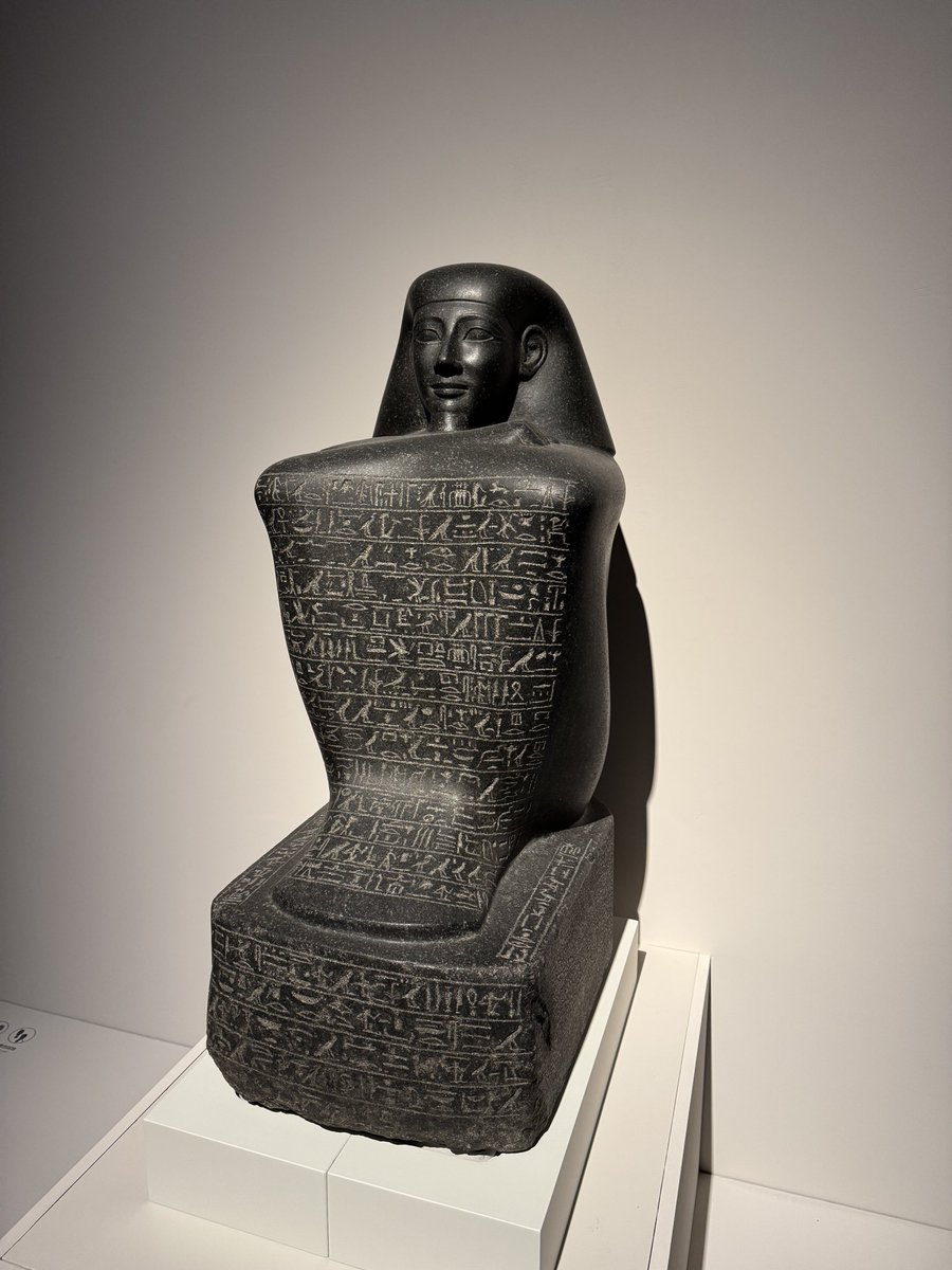 186先生 tweet media