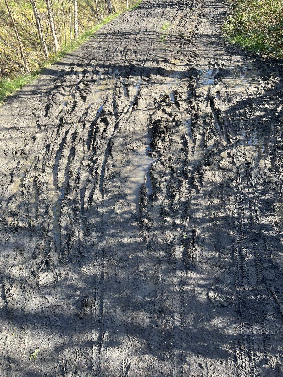 Young_Nudger's tweet image. Cycling today from #Manvers Lake to the North Ings at Harlington.
Beautiful cycle route spoilt to a degree by this short length of path parallel to Dearne Road that connects @TeamManvers car park with the @TPT_National.
This path has been like this for years - can’t the people at