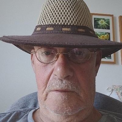 Wil Zetpil tweet media