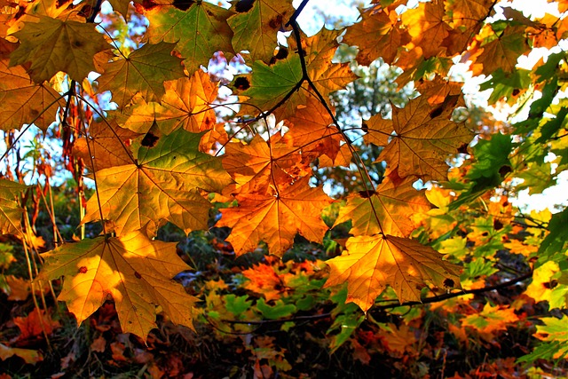 Darian Sandridge tweet media