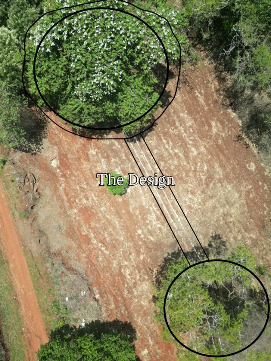 Miti Alliance tweet media