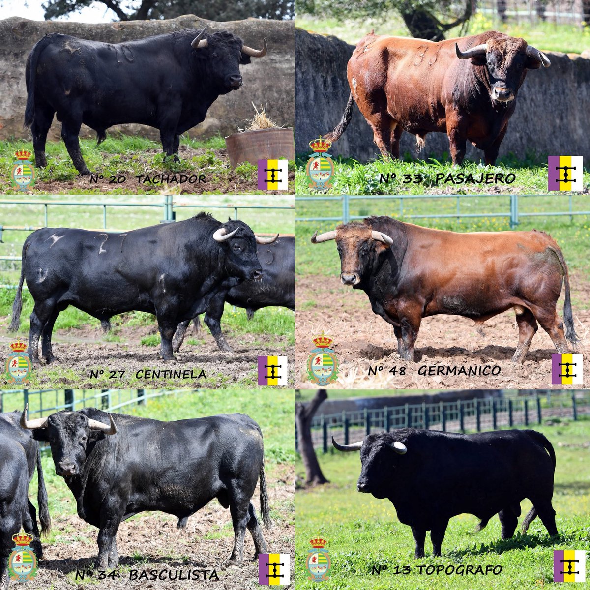 Iñaki Etxarri tweet media