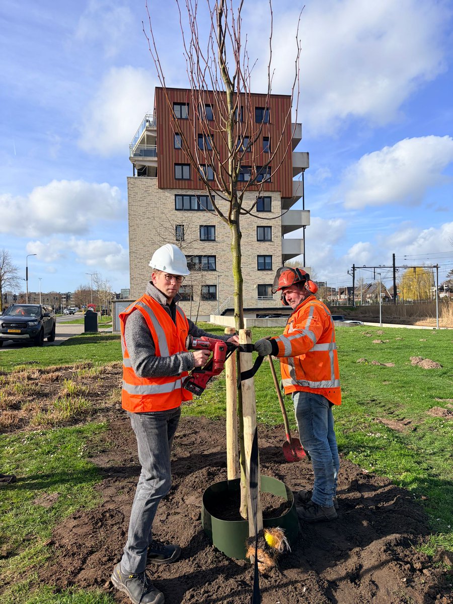 Alphen aan den Rijn tweet media