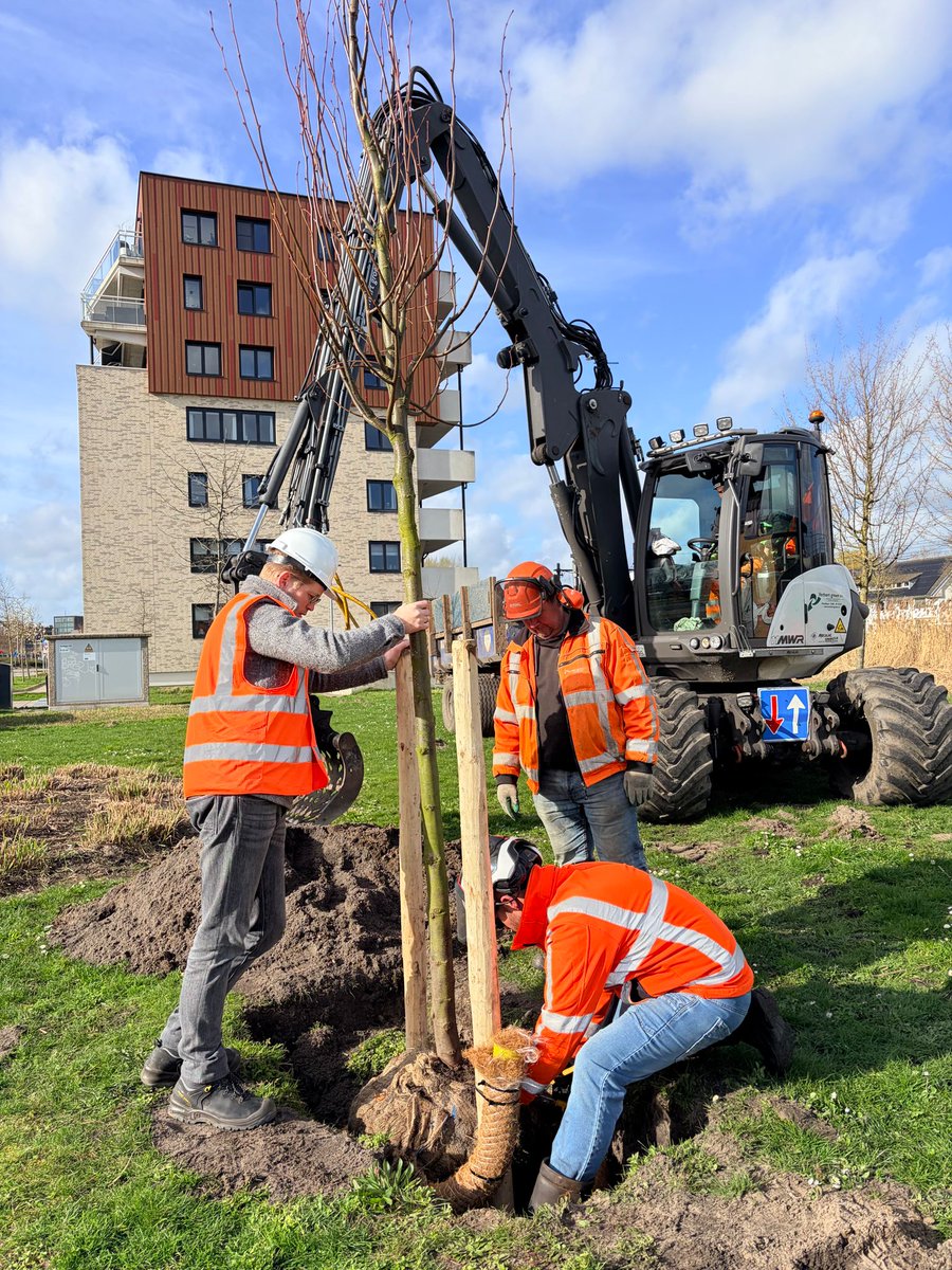 Alphen aan den Rijn tweet media