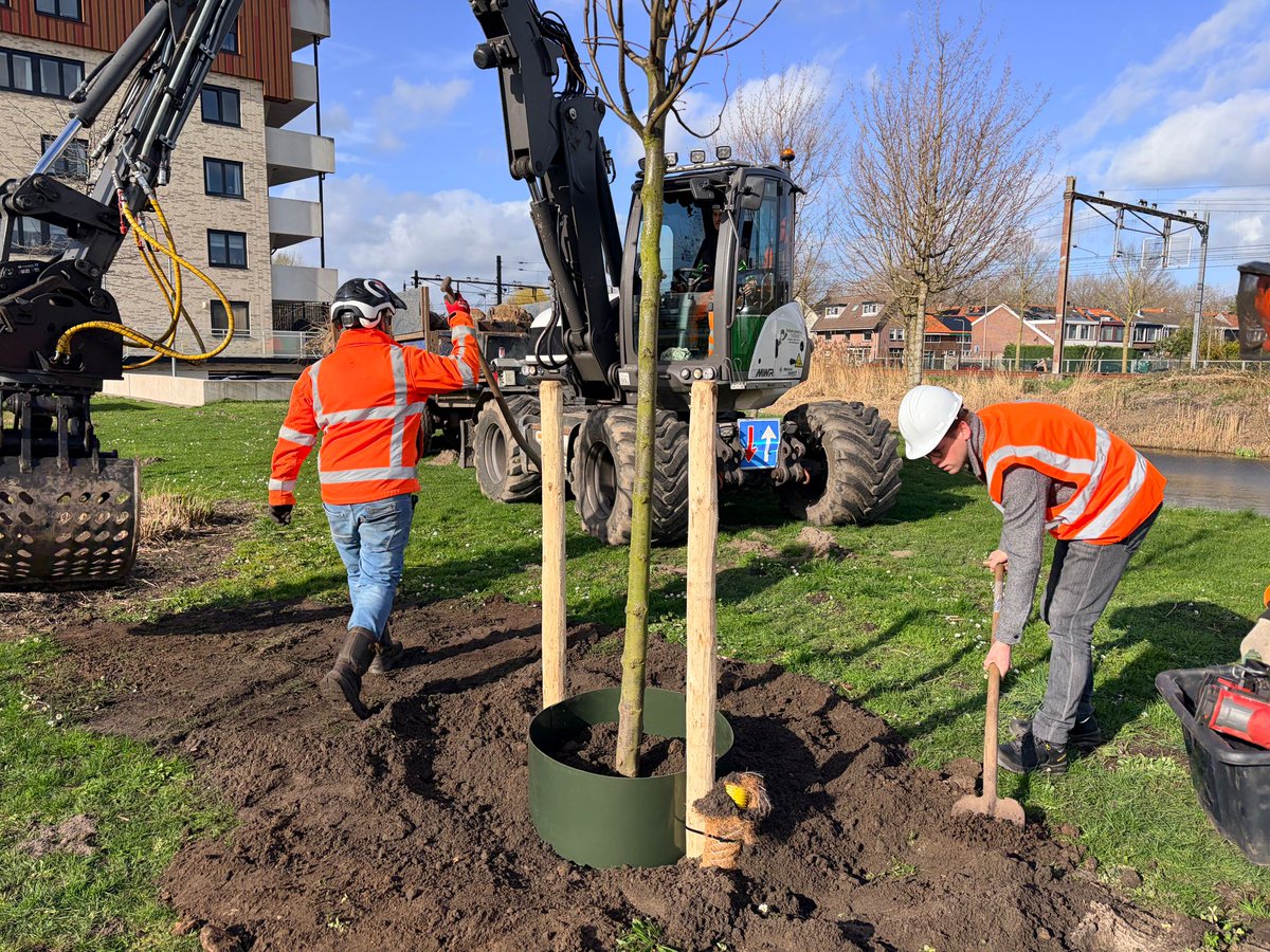 Alphen aan den Rijn tweet media