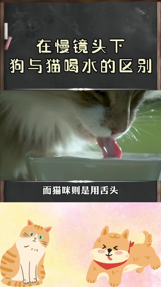 muhammmet tweet media