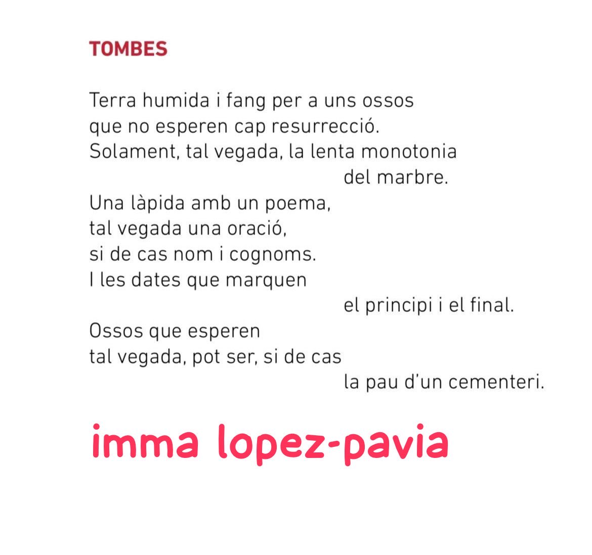 AdA Pavia tweet media