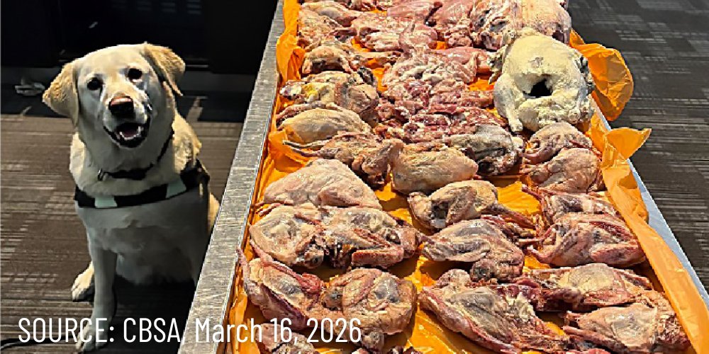 Ontario Proud tweet media