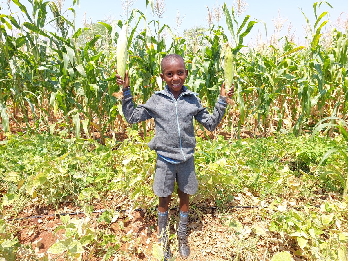 World Vision Zimbabwe tweet media