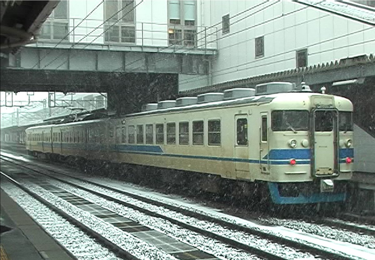 鳩 tweet media