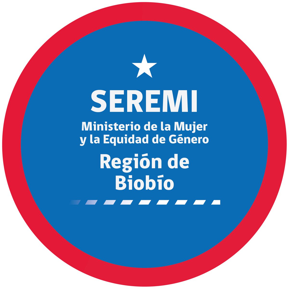 Seremi Mujer y Equidad de Género Biobío tweet media