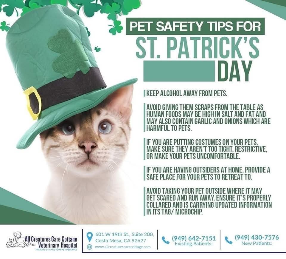 KentCountyCats's tweet photo. We wish you all the luck of the Irish and the nine lives of a cat this #StPaddy's Day! 🍀 https://t.co/UOZbXtVwyL