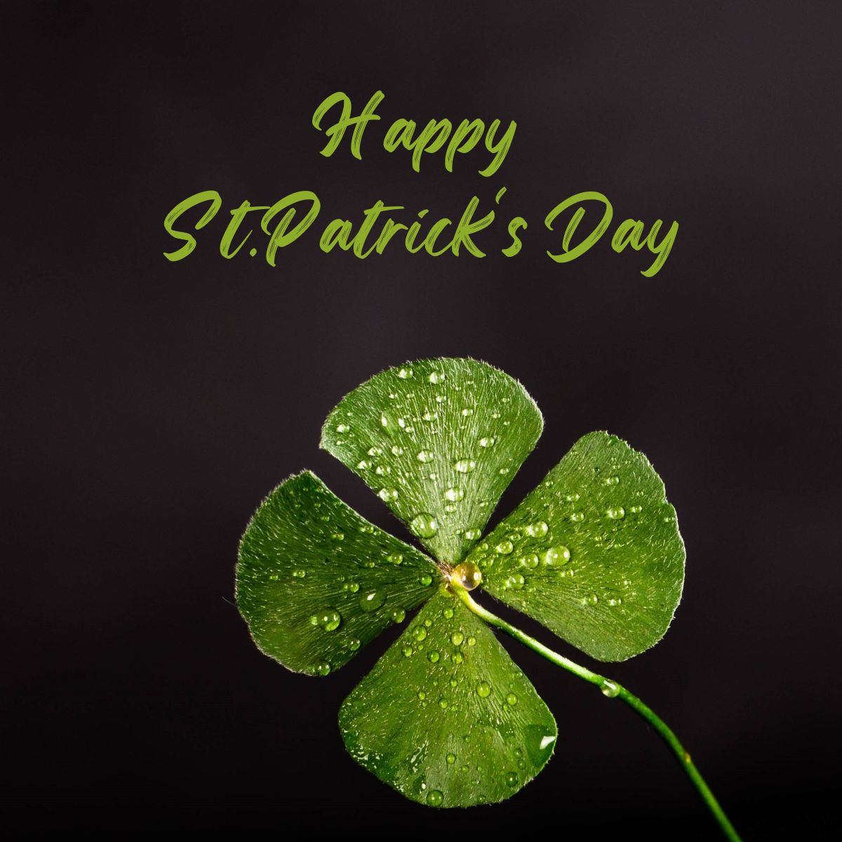 Pheasantland Industries tweet media