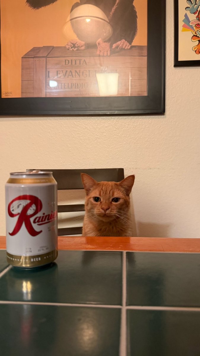 No Cats No Life tweet media