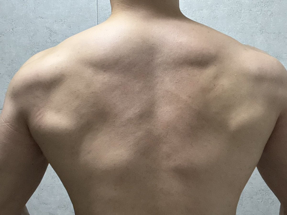 桜蒔（はるま） tweet media