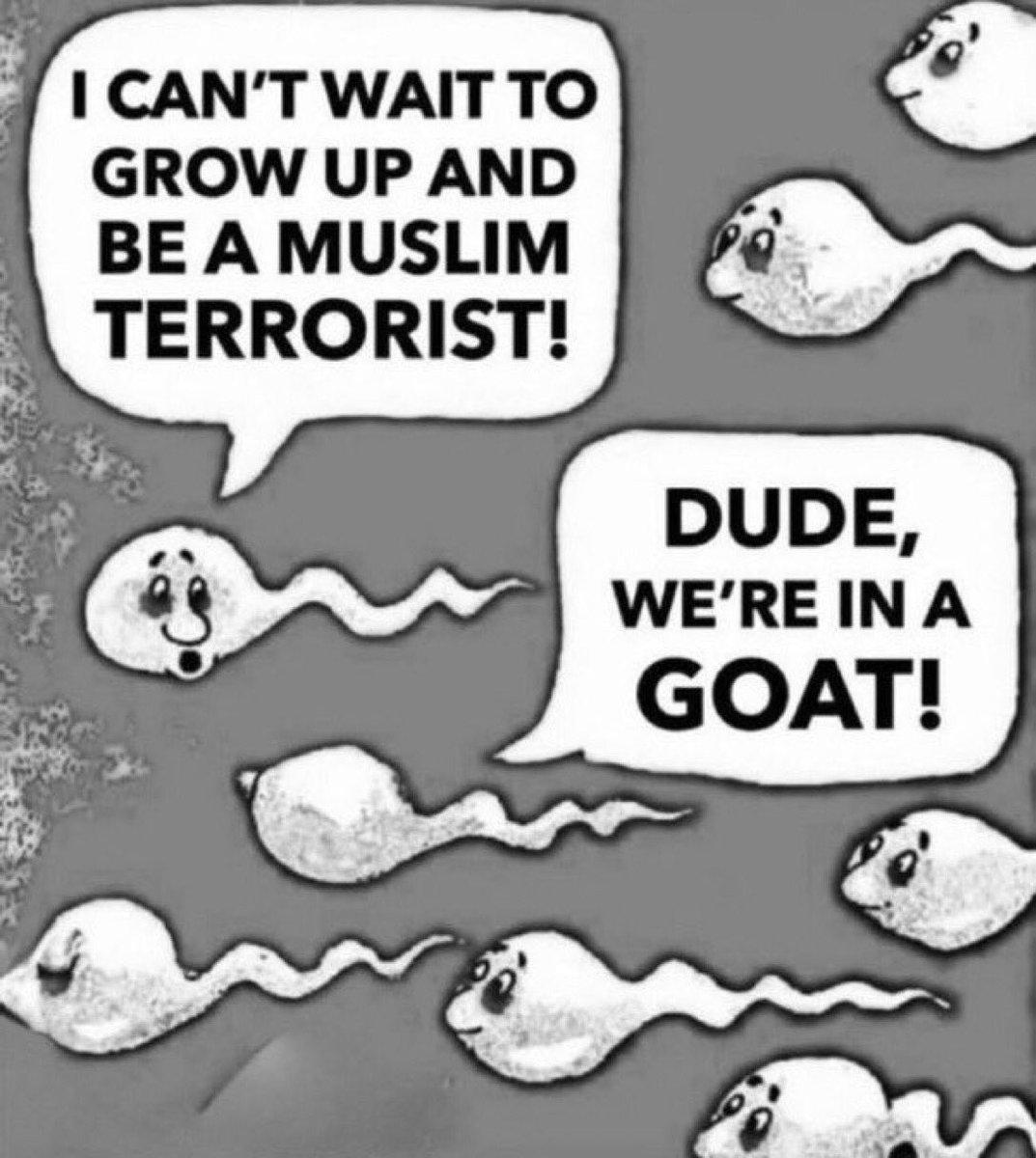 🇺🇸 InTrumpWeTrust 🇺🇸 #47 = the GOAT!! tweet media