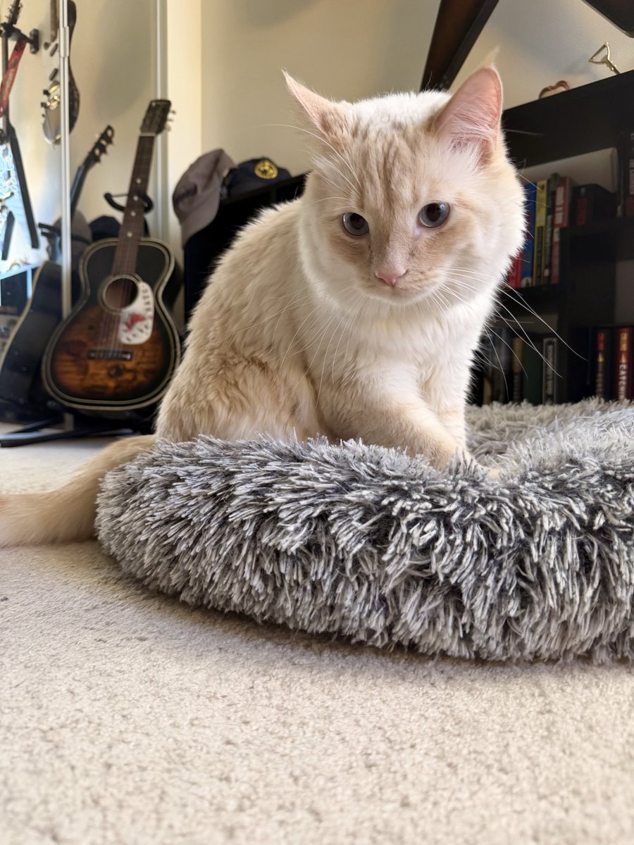 Max Evans tweet media