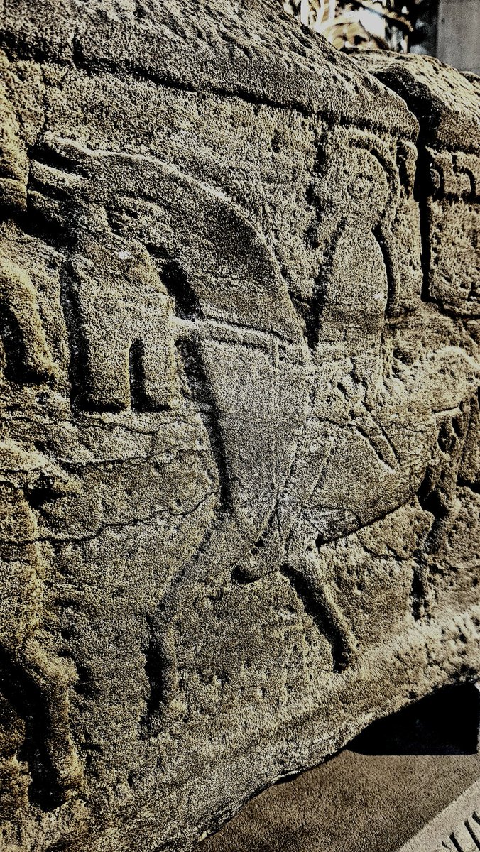 The Govan Stones 🛡👑 tweet media