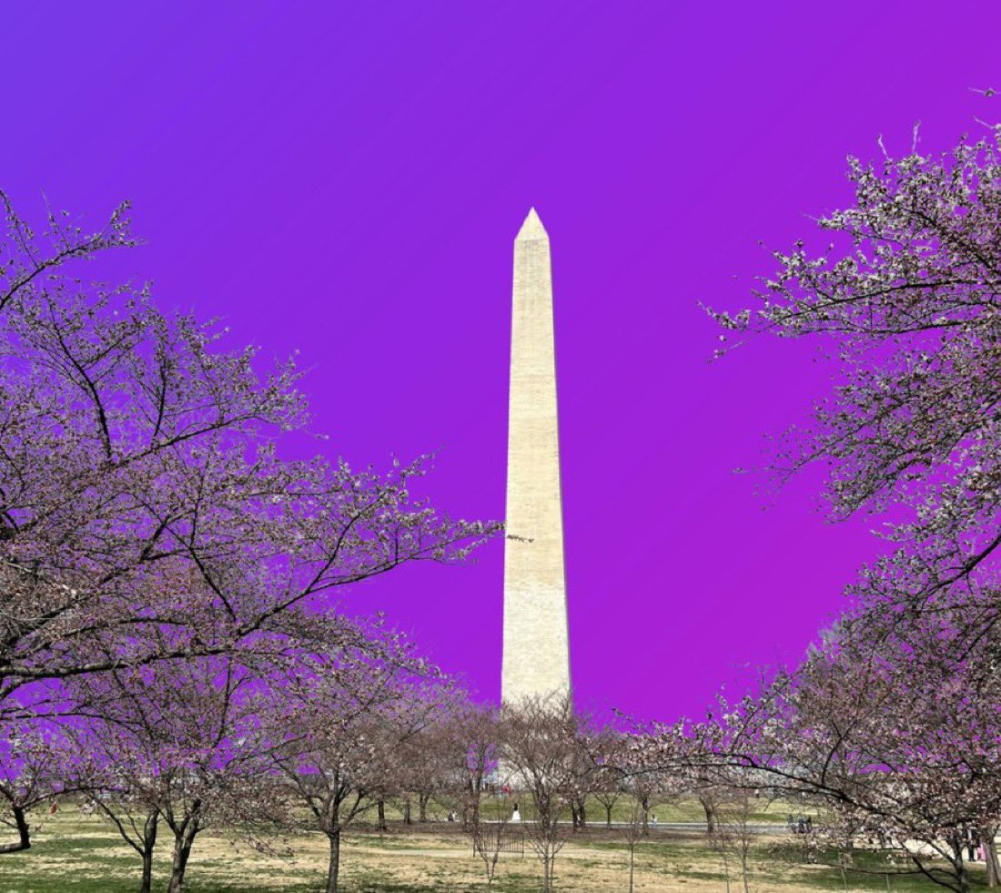 W3DC 🛡️ tweet media