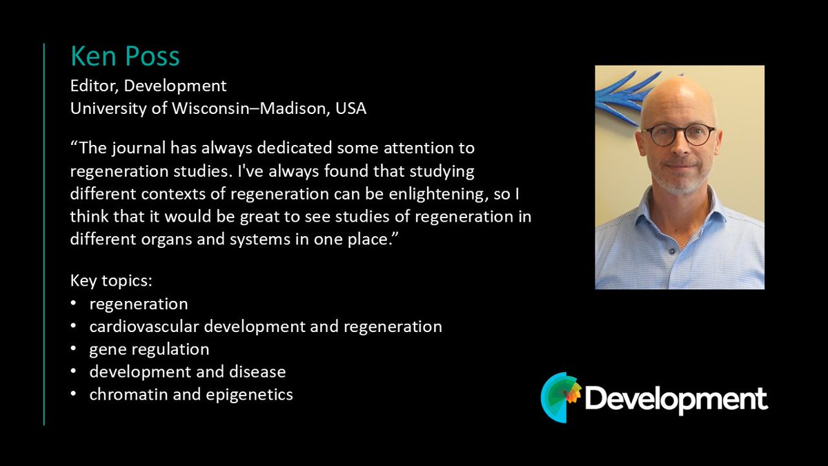 Development tweet media