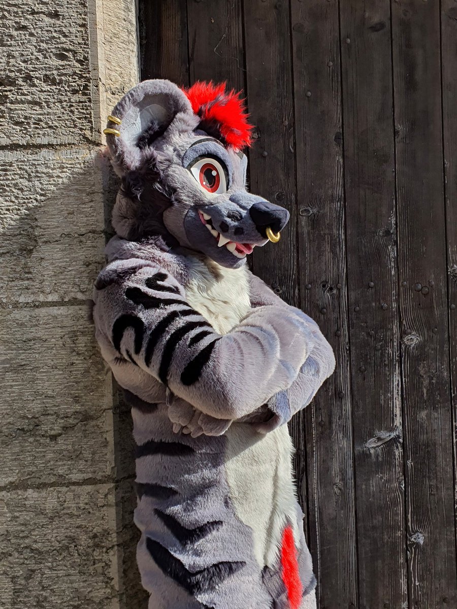 Alt 🔜 Fauntastic/FCD tweet media