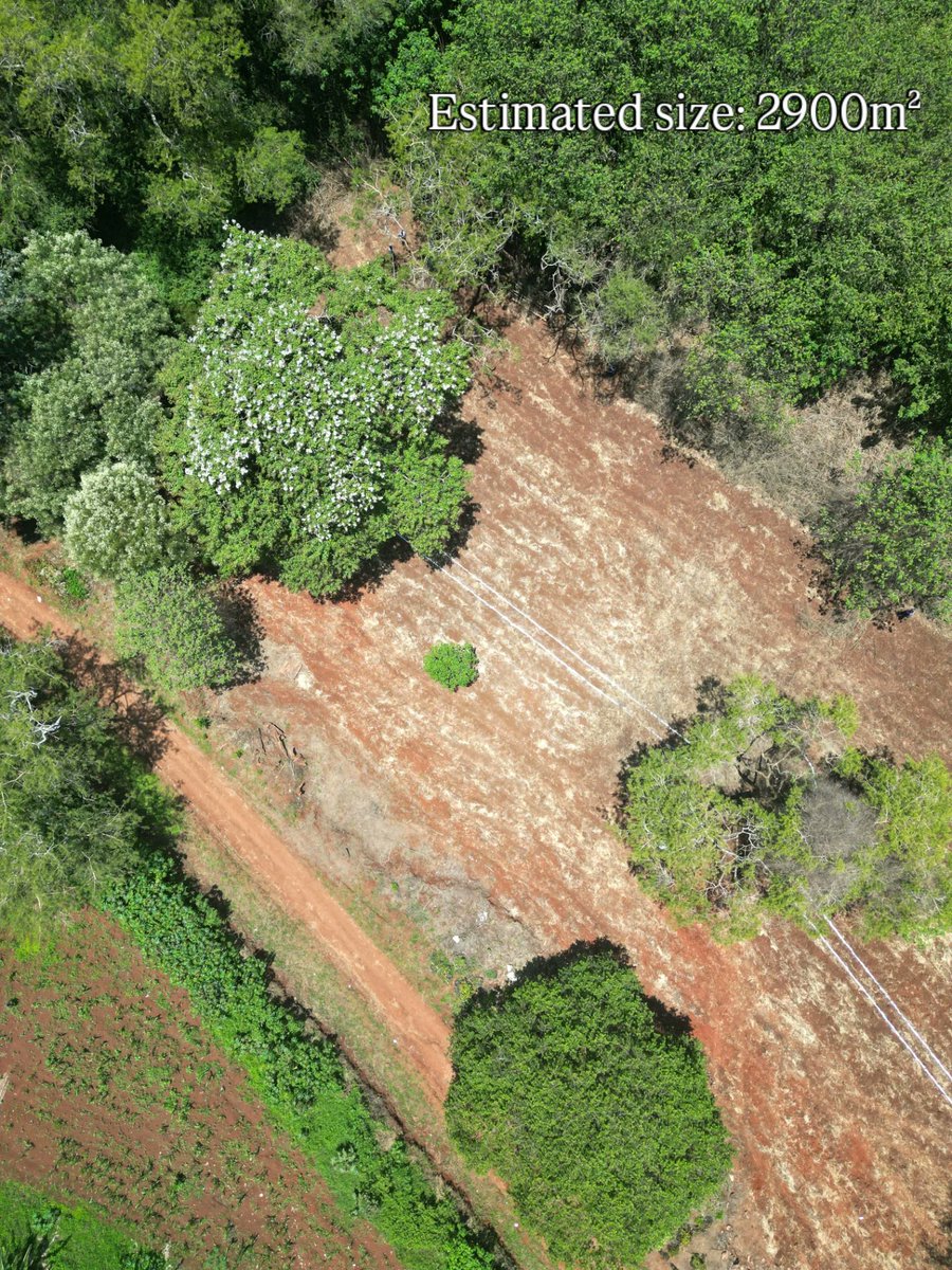 Miti Alliance tweet media