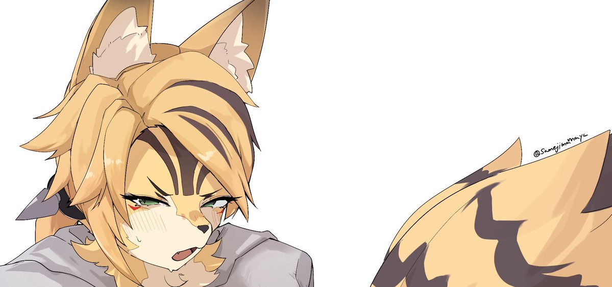 鮫島まゆ tweet media