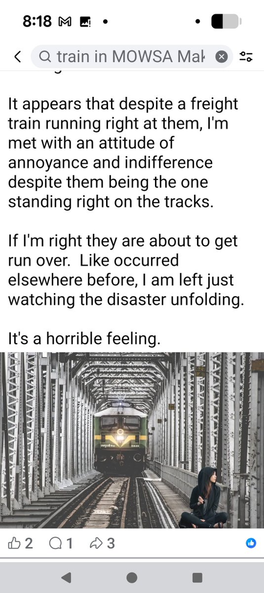 MOWSA Make Our World Safe Again tweet media