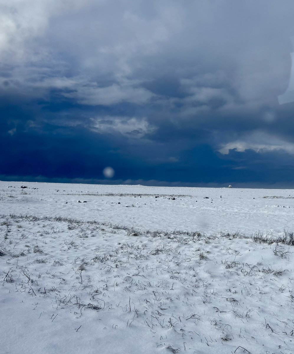 Solange Bied-Charreton tweet media