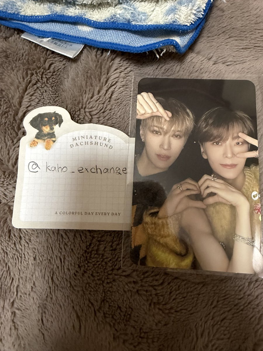 kaho 取引垢 tweet media