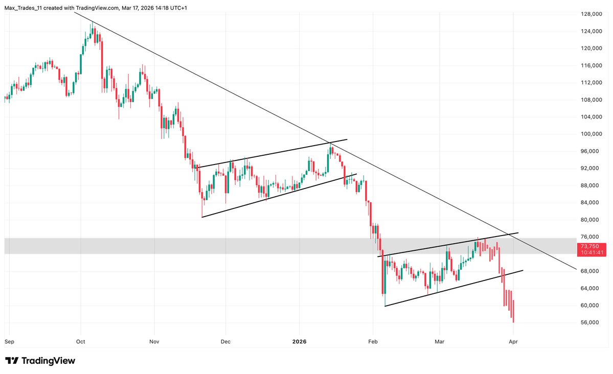 Max Trades tweet media
