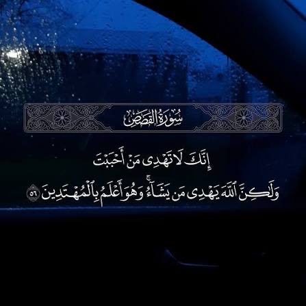 منيرا tweet media
