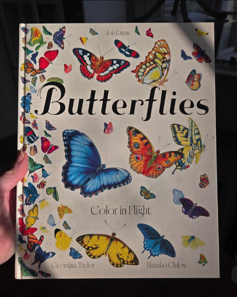 Jessica Whipple tweet media