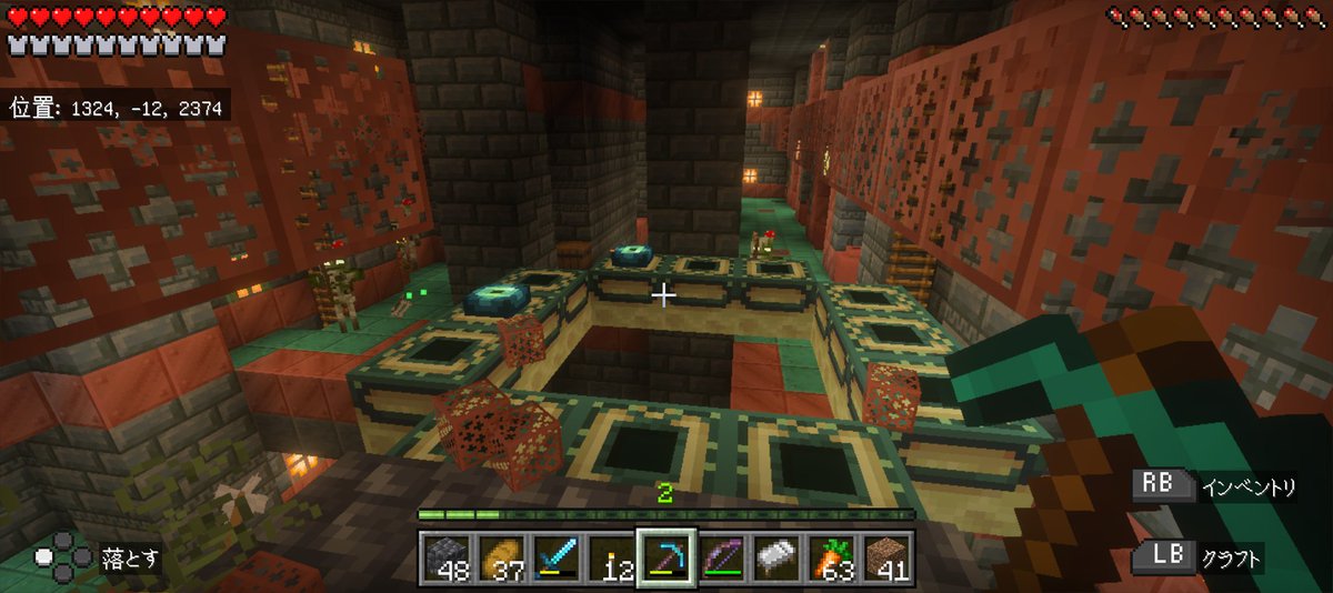 ibk_10ak's tweet photo. いくら探しても見つからないなと思ったらこれ
 #minecraft https://t.co/7E7HhEXMJR